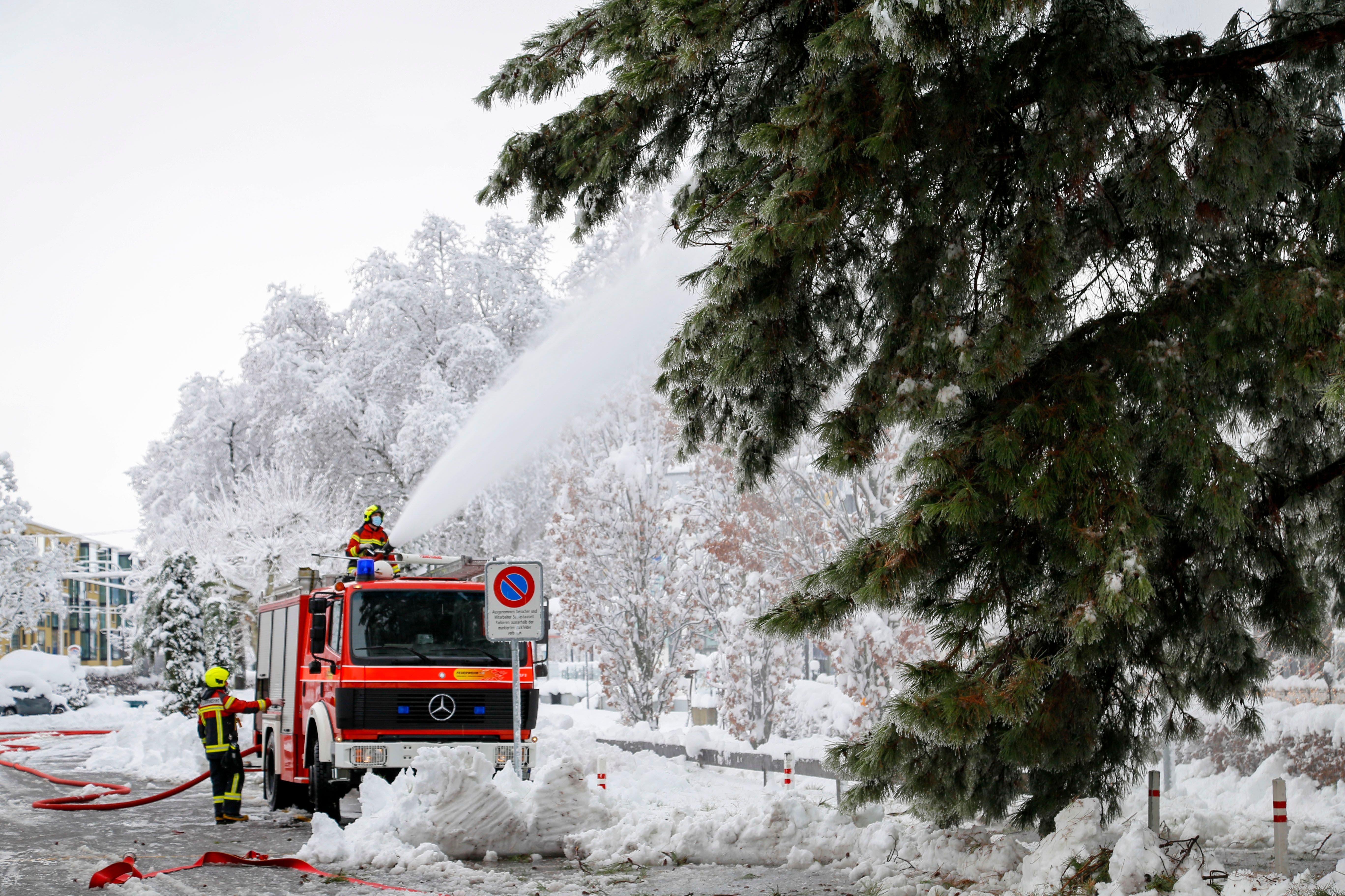 Januar: Die Feuerwehr befreit die Föhren am Rorschacher Seeufer von der Schneelast.