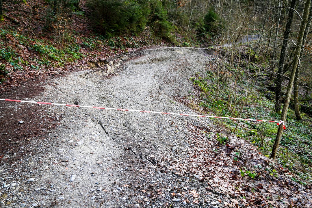 Februar: Der Erdgletscher lässt die Forststrasse im Rantelwald in Goldach absinken.