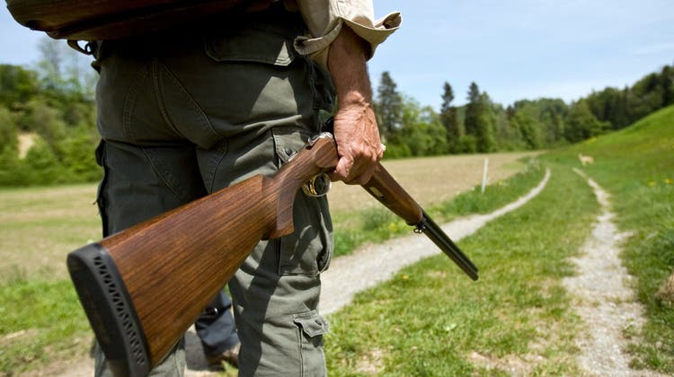 Schalldämpfer an Jagdgewehren könnten für mehr Ruhe im Wald sorgen, aber sie sind verboten. (KEYSTONE)