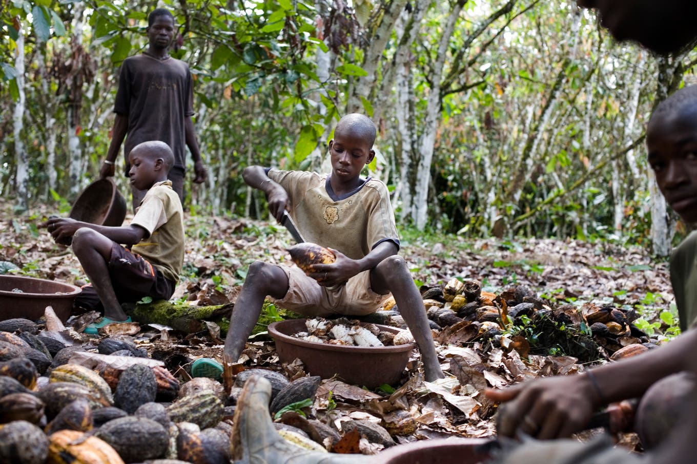 Menschenrechte Kinderarbeit Auf Kakaoplantagen Acht Männer Aus Mali Klagen Gegen Nestlé 