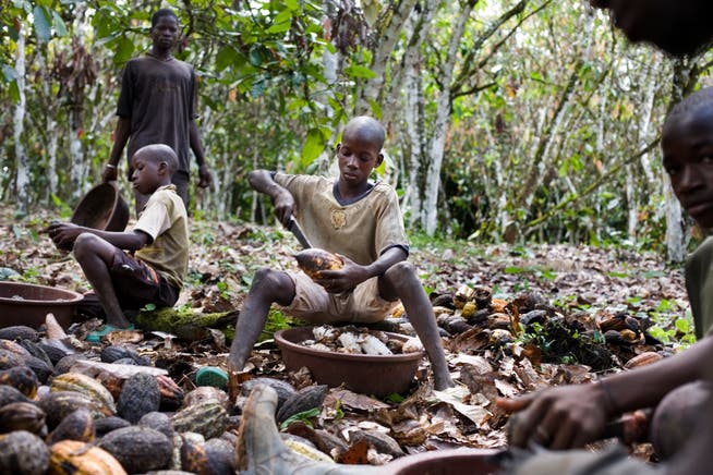 In der Kakaoindustrie ist Kinderarbeit immer noch stark verbreitet.