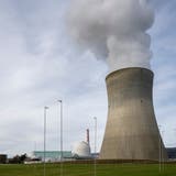 Im Kernkraftwerk Leibstadt wird man bald schon wieder in Deutschland gefertigte Brennelemente entgegennehmen dürfen. (Alex Spichale (4.2.2021))