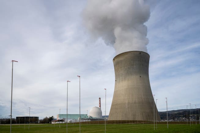 Im Kernkraftwerk Leibstadt wird man bald schon wieder in Deutschland gefertigte Brennelemente entgegennehmen dürfen.
