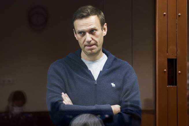 Alexej Nawalny ist vor dem Gericht abgeblitzt.