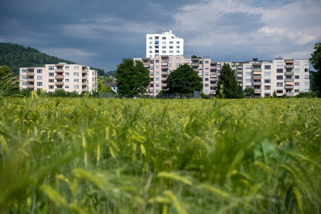 Blick auf eine Wohnsiedlung in Obersiggenthal: Der Steuerertrag sank 2020 nur leicht.