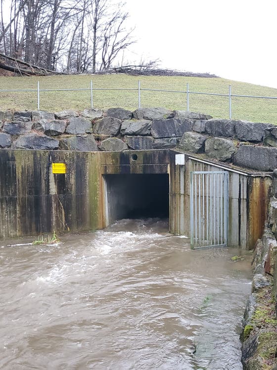 Villmergen Millionenteures Hochwasser Schutzprojekt Zahlt Sich Fur Die Gemeinde Aus