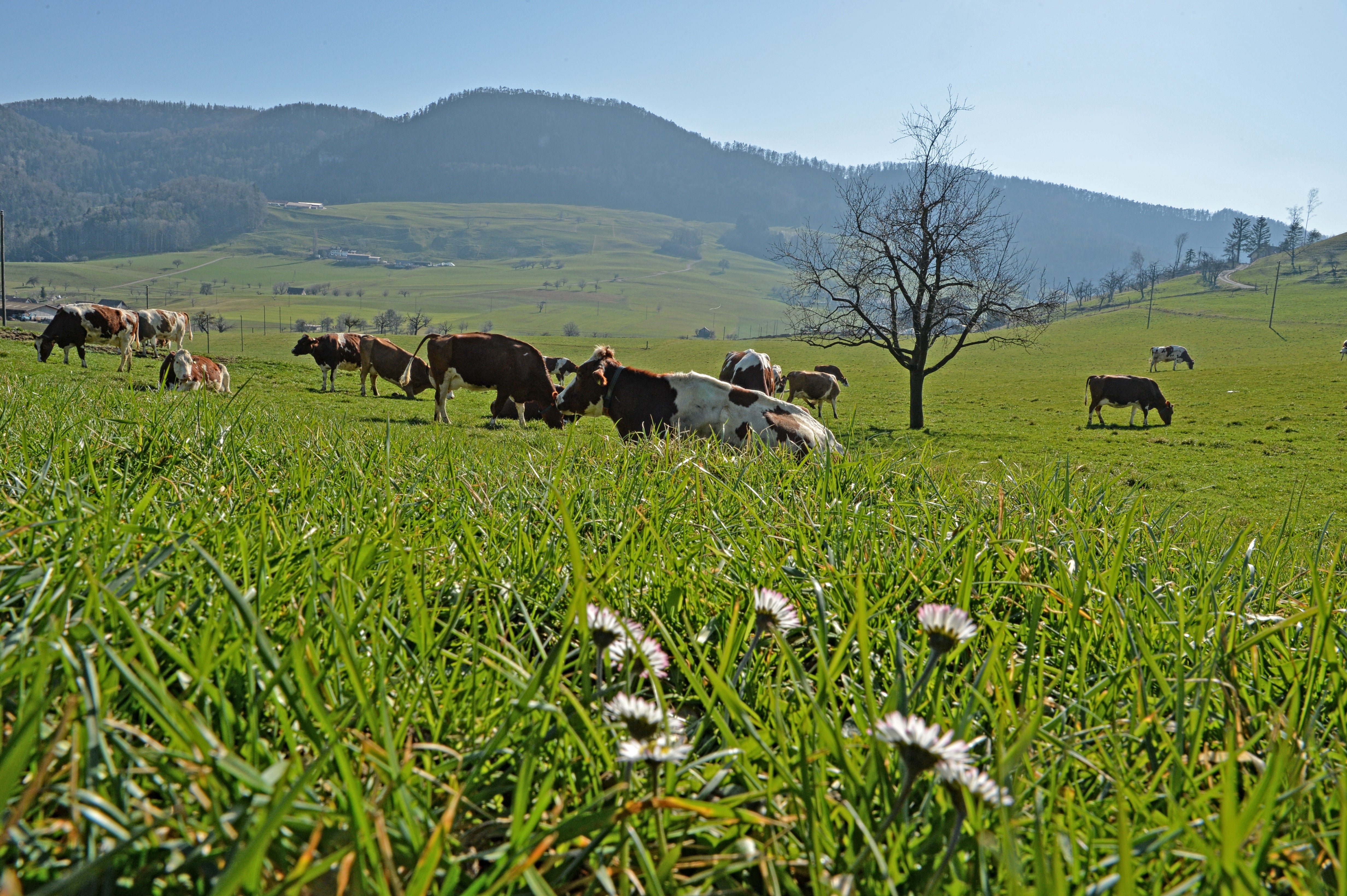 Leserfotos - Das Sind Die Schnappschüsse Der Leserinnen Und Leser Im ...