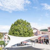 Der Weinfelder Marktplatz: Betonierte Fläche mit Baum in der Mitte. Doch es soll blumig werden, mit der Flora 21. (Bild: Andrea Stalder (Weinfelden, 24. August 2020))