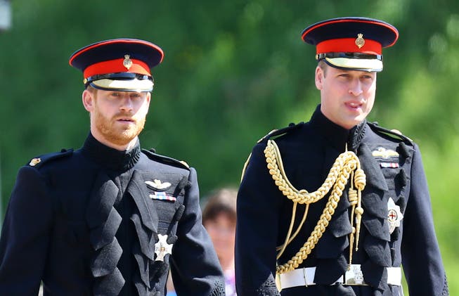 Prinz Harry und Prinz William in Uniform.