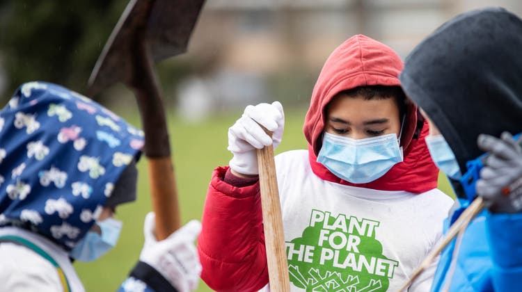 Pflanzen statt Schulbank drücken: Schüler setzen 71 Bäume für ein besseres Klima
