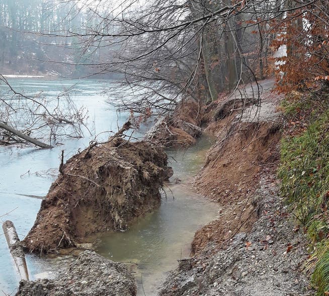 Der Uferweg fiel einfach ins Wasser: So präsentierte sich die Situation an der Limmat in Oetwil Ende Januar nach den starken Schneefällen.