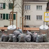 Am Kornhausplatz in Bremgarten gab es Probleme mit verstopften Einwurfsäulen bei den Unterflurcontainern. (Bild: Silvano De Matteis – Fotograf Bremgarten)