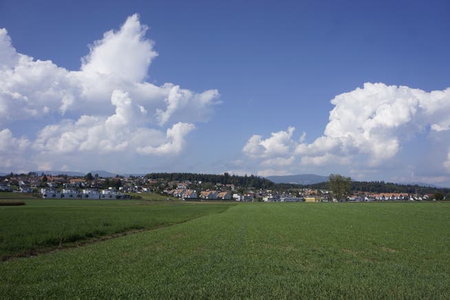 Felder in der Gemeinde Lohn-Ammannsegg