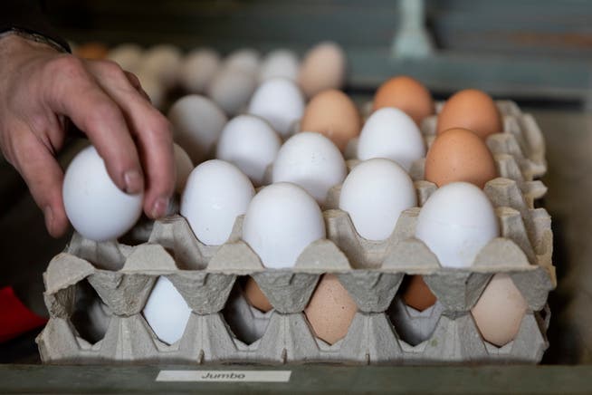 Parat für die Eiertütschete: An Ostern sind weisse Eier besonders beliebt.