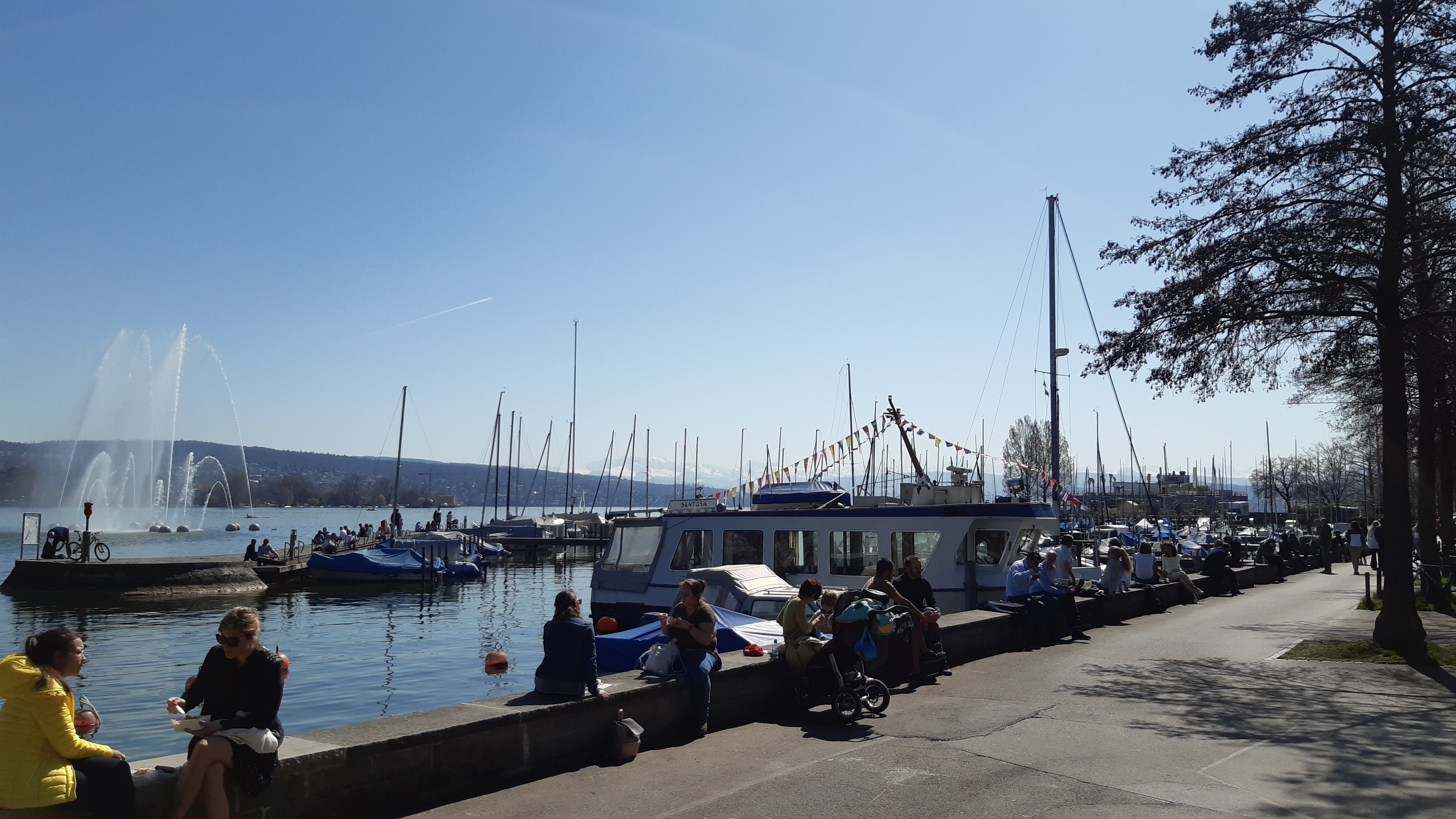 Beim Hafen Enge dient die Ufermauer als Mittagstisch.