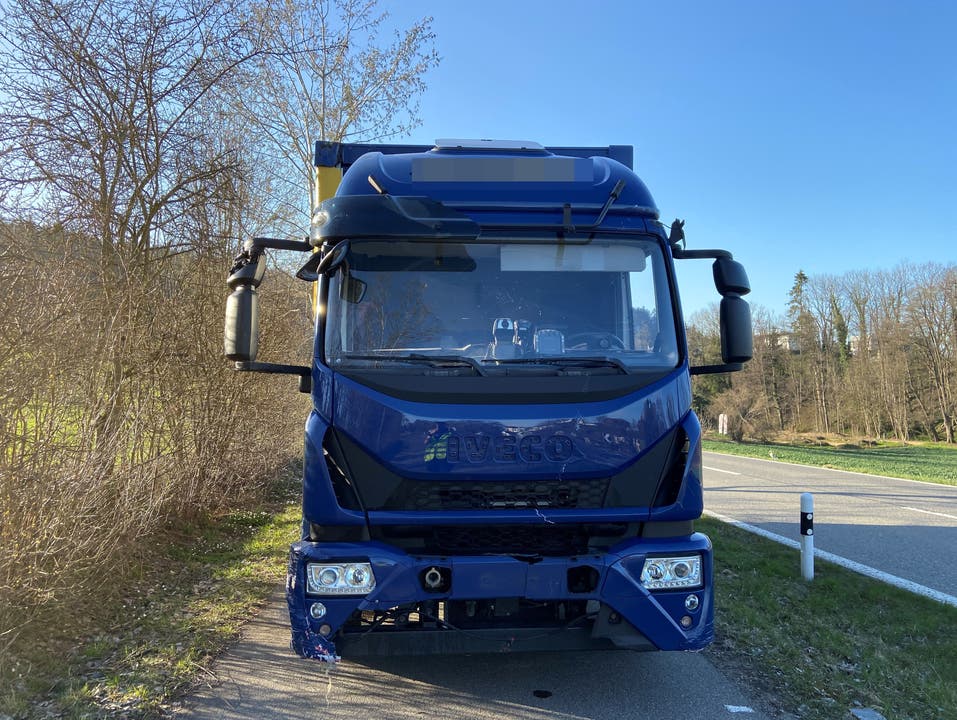 Villmergen (AG), 30. März: Ein Lastwagenchauffeur aus Slowenien kommt von der Strasse ab und baut mehrere Unfälle. Er war betrunken und musste den Führerschein abgeben.