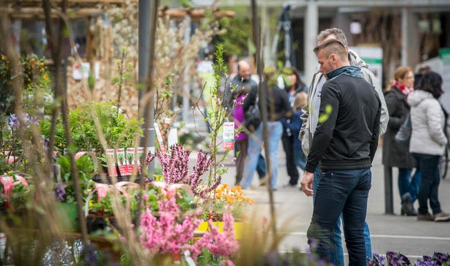 An der «Art Garden» in Weinfelden konnten sich die Gartenbauer 2016 schon einmal auf dem Marktplatz präsentieren.
