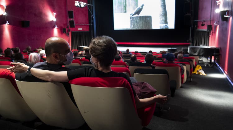 Die Kinos sind zurzeit im zweiten Lockdown und schreiben hohe Verluste. Dieser Saal in Pully bei Lausanne empfing im Juni 2020 Publikum. (Laurent Gillieron / KEYSTONE)
