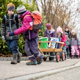 Der Natur- und Vorgelschutzverein Biberist und der Kindergarten Egelmoos hängen gemeinsam selbstbemalte Nistkästen auf. (Michel Lüthi)