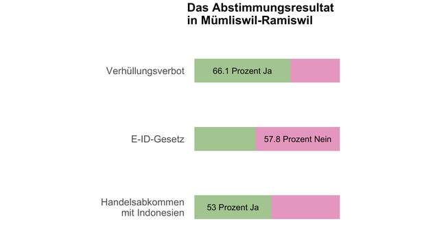 So haben die Stimmbürgerinnen und Stimmbürger in Mümliswil-Ramiswil zu den Vorlagen vom Sonntag entschieden.