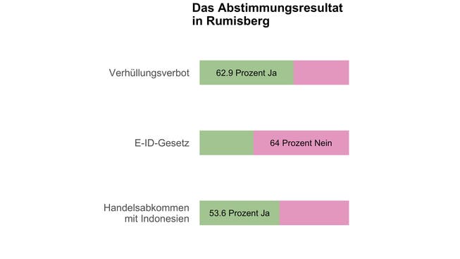 So haben die Stimmbürgerinnen und Stimmbürger in Rumisberg zu den Vorlagen vom Sonntag entschieden.