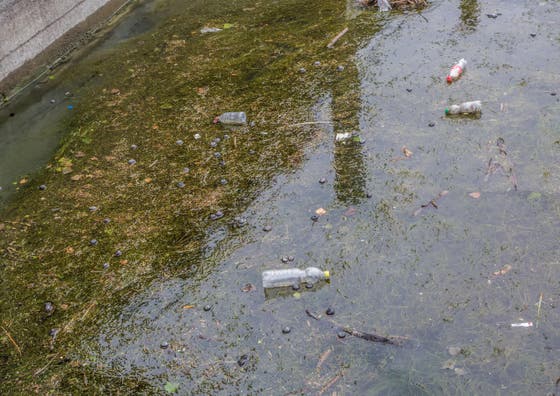 Wasserverschmutzung Niemand Will In Einem Dreckigen See Baden Stiftung Bekampft Mikroplastik Im Bodensee