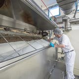 Blick in die Produktion des Milchverarbeiters Hochdorf. Auf dem Bild zu sehen ist ein Mitarbeiter bei einer Kontrolle der Walze, mit der Milchpulver hergestellt wird. ((Bild: Pius Amrein, 19. Dezember 2019))