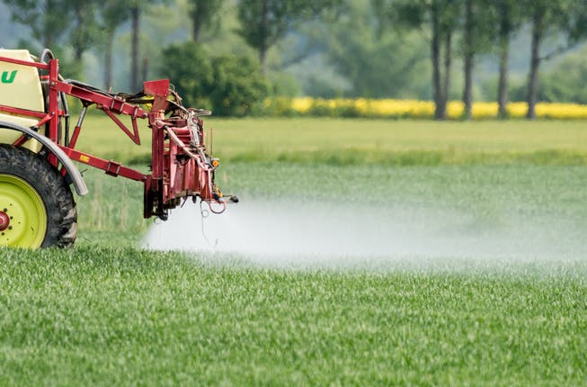 Die Trinkwasserinitiative will, dass der Bund keine Direktzahlungen mehr an Betriebe zahlt, die Pestizide einsetzen. (Symbolbild)