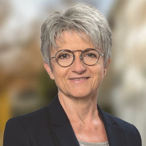 Maya Bally, Grossrätin Die Mitte