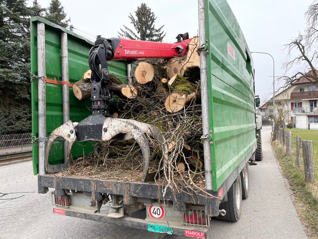 Schweizer Holz (Symbolbild: Hirschthal) bringt nichts mehr ein, die Forstbetriebe müssen deshalb zusammenschliessen