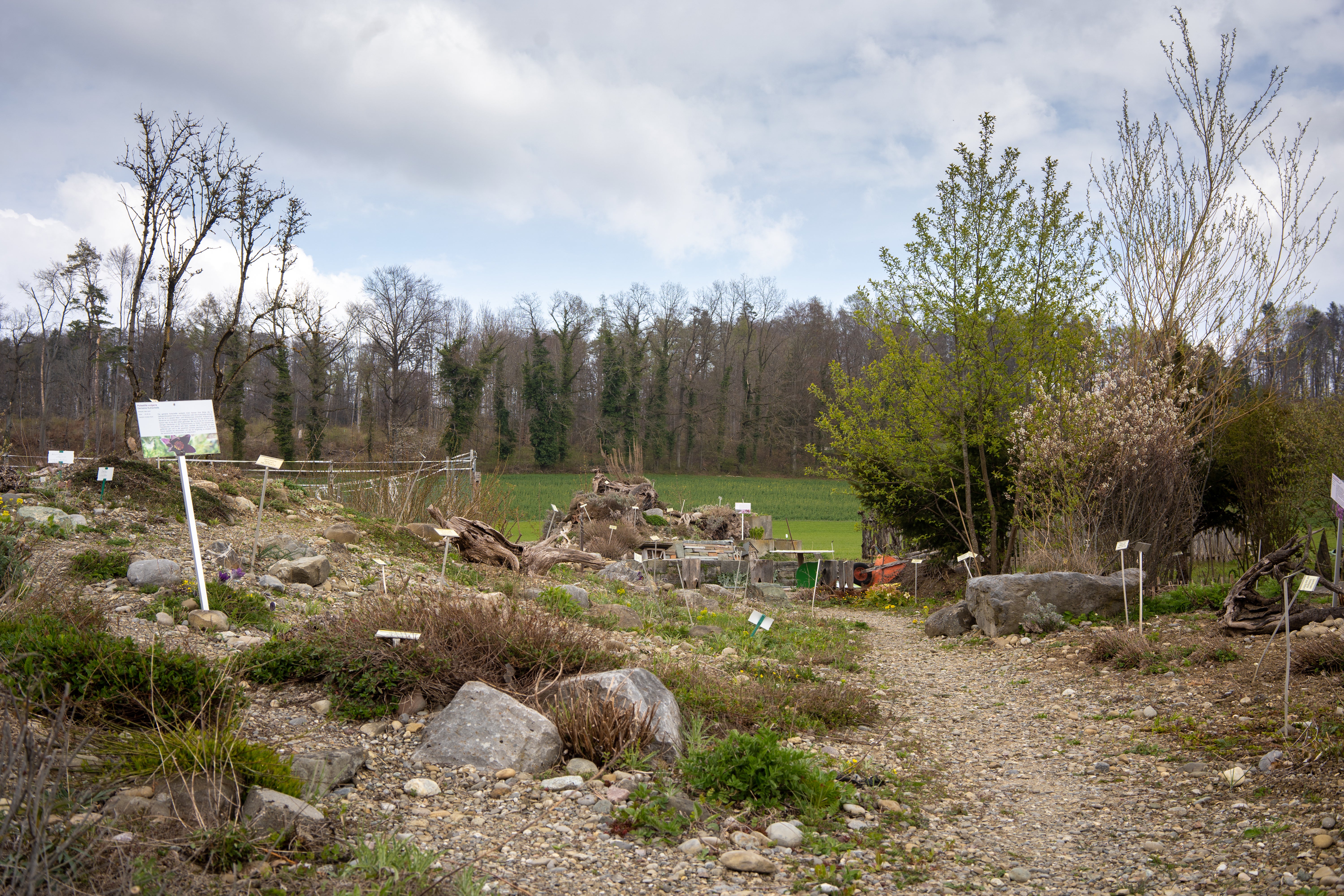 Frühling - Bei Stift Höfli In Nussbaumen, Dem Grössten ...