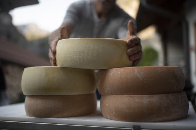 Die Schweiz darf neu auch Käse nach Israel exportieren. (Symbolbild)