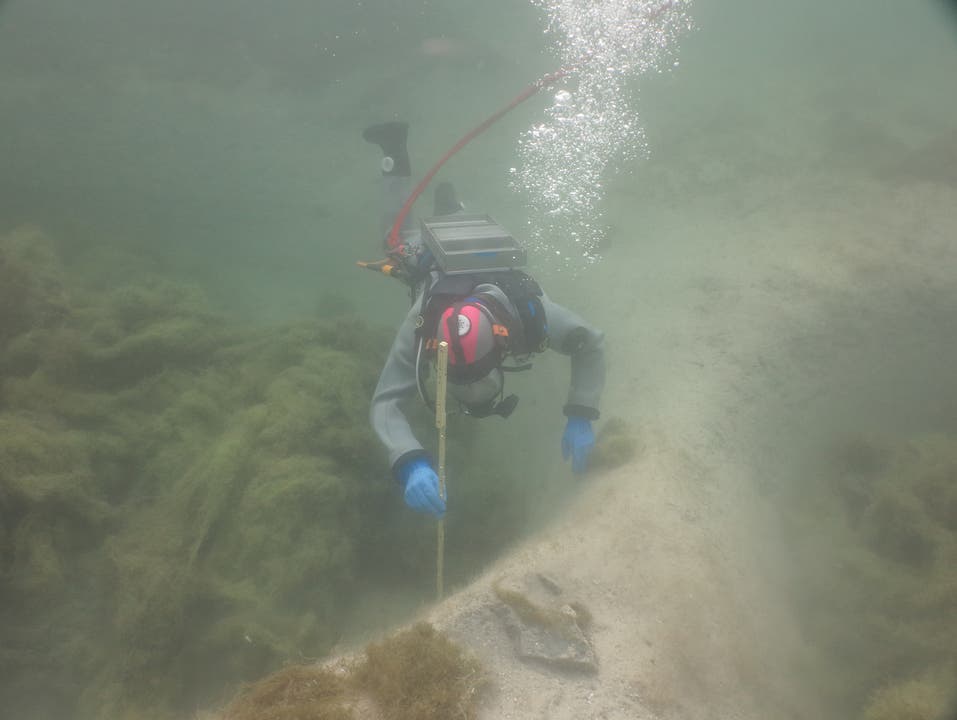 Taucherin der Unterwasserarchäologie Zürich an der Arbeit im Luzerner Seebecken.