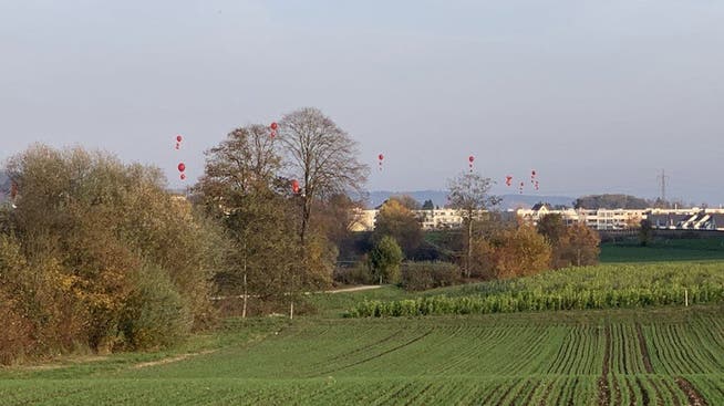 Hier in Würenlos ist die Deponie Steindler geplant. Die Ballone zeigen an, wie hoch die Erde gemäss Planungsbericht hätte aufgefüllt werden sollen. 