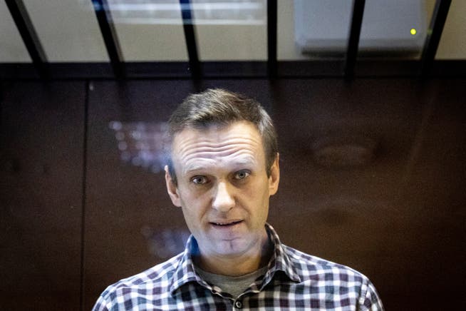 Alexej Nawalny während seines Gerichtsprozesses im Februar 2021. 