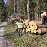 Luc Schwarb (rechts) im Frühling 2020, kurz vor bevor er den Forstbetrieb Gränichen-Unterkulm von Markus Wildi (links) übernahm. (Flruina Dünki / Aargauer Zeitung)