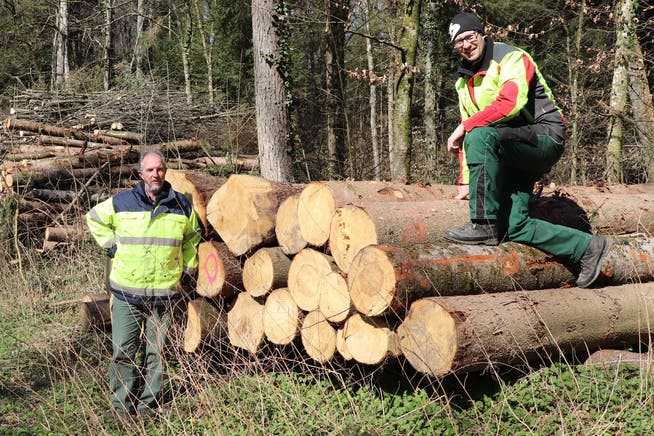 Luc Schwarb (rechts) im Frühling 2020, kurz vor bevor er den Forstbetrieb Gränichen-Unterkulm von Markus Wildi (links) übernahm. 