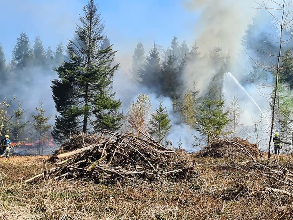In Brunegg musste die Feuerwehr Maiengrün am Freitag einen Waldbrand löschen.