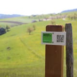 Grüne Wegweiser und QR-Codes führen die Besucherinnen und Besucher informativ über die Wanderwege. (Eva Oberli)