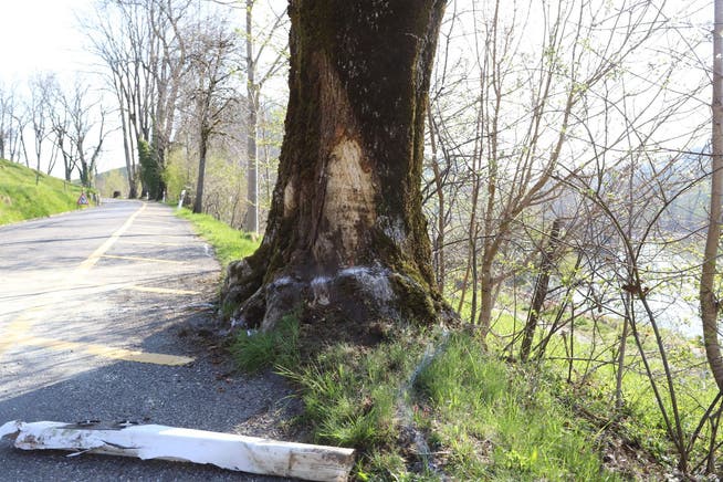 Leitpfosten und Baum wurden beim Selbstunfall ebenfalls stark in Mitleidenschaft gezogen.