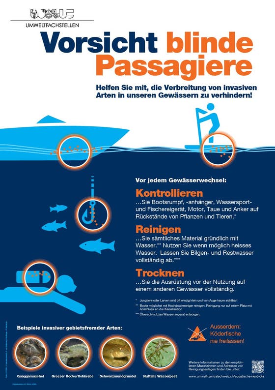 Umwelt Vorsicht Blinde Passagiere Zentralschweizer Kantone Starten Eine Informationskampagne Zum Schutz Der Gewasser