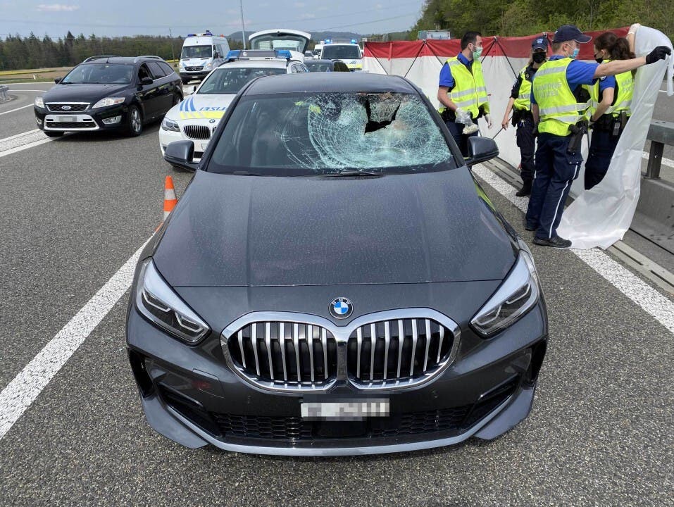28. April, Mägenwil: Auf der Autobahn A1 kam es zu einem Zusammenstoss mit einer Autofahrerin und einem Reh. Beide verstarben.