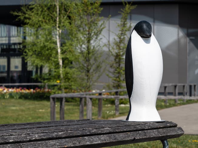 Solche Pinguine spielen bei der Städtekampagne gegen den Klimawandel die Hauptrolle.