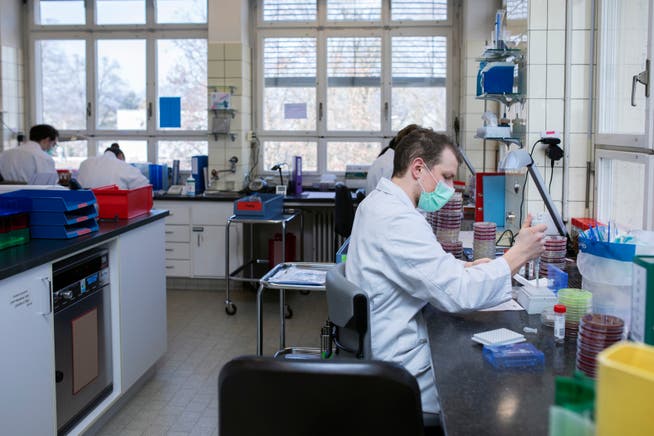 Im Labor des KSA sind rund 94'000 Covid-PCR-Tests ausgewertet worden. 