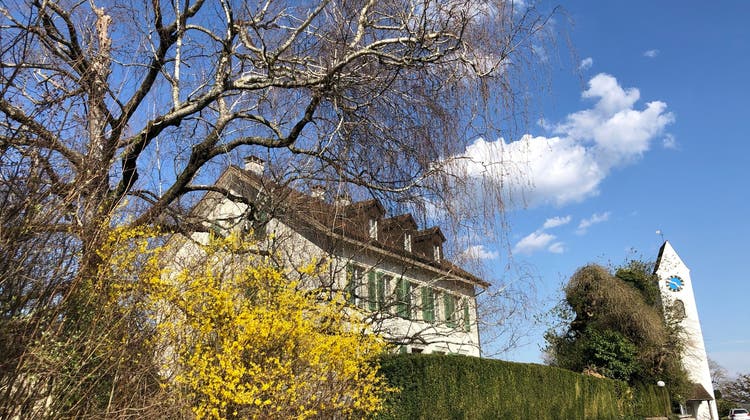 Die Birke (links im Bild) steht wohl seit rund 100 Jahren im Garten des Pfarrhauses. (Katja Schlegel)