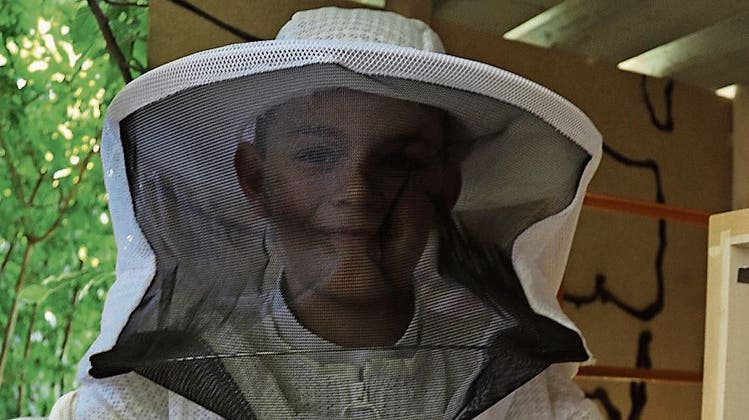 Tim und seine Bienen: Ein Schulbub erklärt anderen Kindern die Imkerei