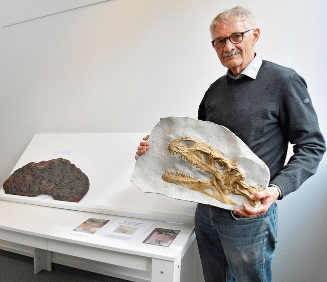 Beat Imhof mit einem Exponat des ersten komplett ausgegrabenen Dinosaurierskelett in der Schweiz.