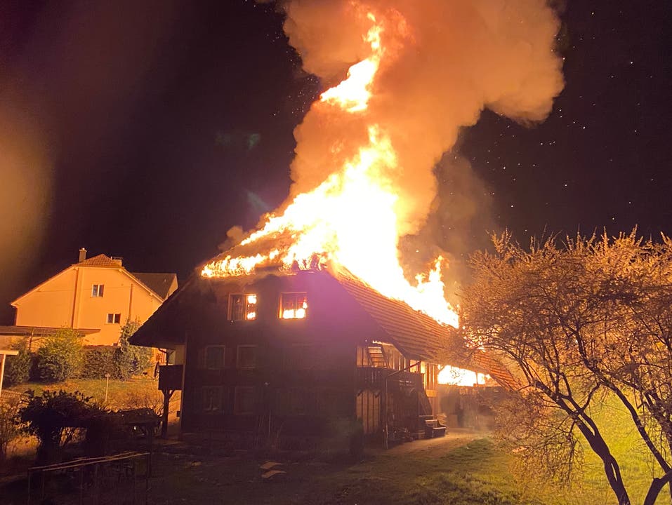 Brittnau AG, 9. April: In einem Einfamilienhaus brach ein Brand aus. Alle Bewohner samt Haustieren konnten sich in Sicherheit bringen.