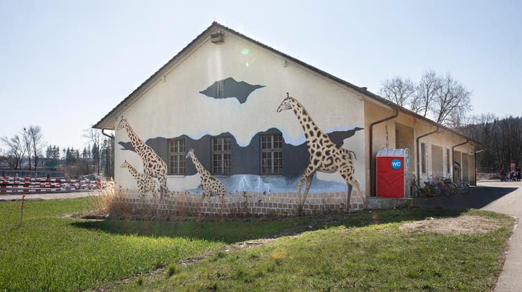 Theo Büchli hat als Berufsschullehrer für Maler und Malerinnen 1998 gemeinsam mit seinen Schülerinnen und Schüler 40 Tiere auf das Gebäude beim Stauwehr Schönenwerd gemalt . (Britta Gut)