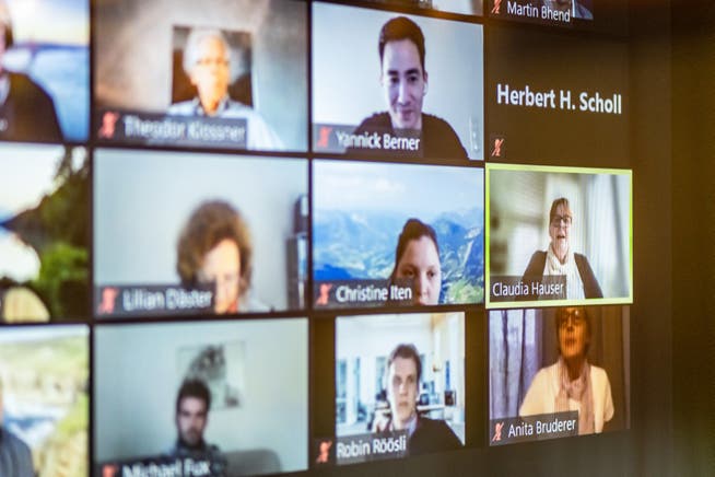 Rund 180 Delegierte nahmen am online-Parteitag teil.